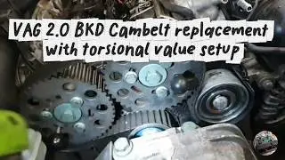 2.0 bkd cambelt